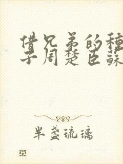 借兄弟的种生孩子周楚臣苏糖