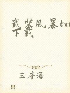 武装风暴txt下载