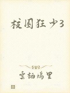 校园狂少3