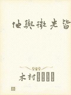 他与微光皆倾城封面