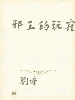 邪王的玩宠