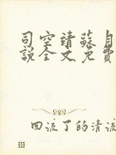 司空靖苏月汐小说全文免费阅读