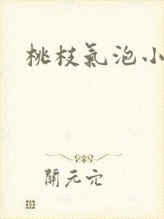 桃枝气泡小说