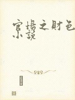 官场之财色诱人小说