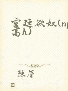 宫廷欲奴(np高h)