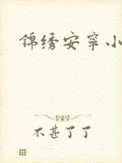 锦绣安宁小说