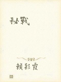 秘战封面