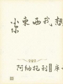 小东西我想弄坏你