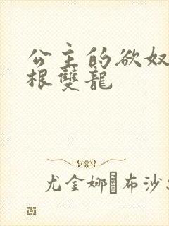 公主的欲奴h四根双龙