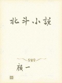 北斗小说