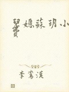 儿媳苏玥小说免费封面
