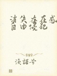 消失存在感消失自由侵犯