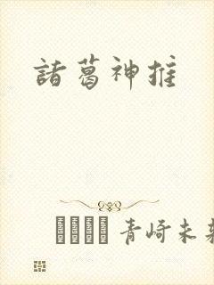 诸葛神推