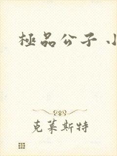 极品公子 小说