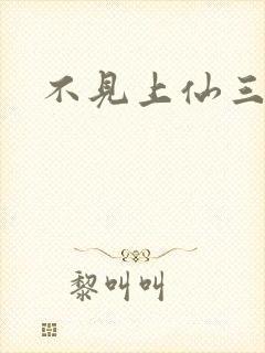 不见上仙三百年封面