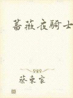 蔷薇夜骑士
