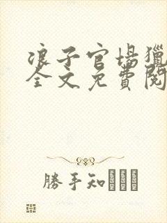 浪子官场猎艳记全文免费阅读