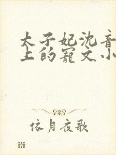 太子妃沈音和皇上的宠文小说