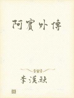 阿宾外传