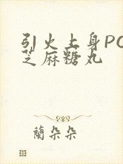 引火上身POP芝麻糖丸