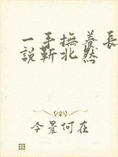一手抚养长大小说靳北然封面