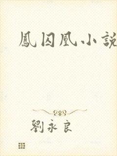 凤囚凰小说