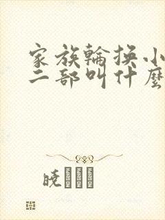 家族轮换小说第二部叫什么名字