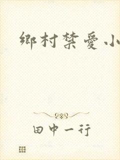 乡村禁爱小说