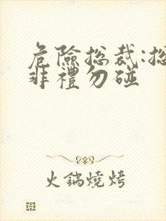 危险总裁:总裁非礼勿碰