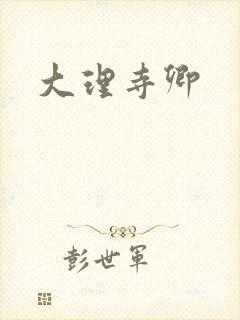 大理寺卿
