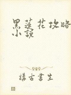 黑莲花攻略手册小说