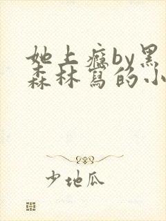 她上瘾by黑暗森林写的小说免费阅读无弹窗
