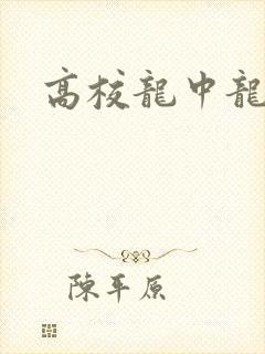 高校龙中龙