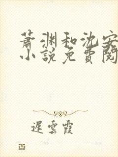 萧渊和沈安安的小说免费阅读