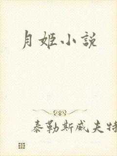 月姬小说
