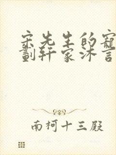 宋先生的宠妻计划轩家沐言