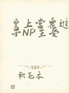 皇上当众进入太子NP主受