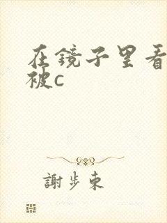 在镜子里看自己被c