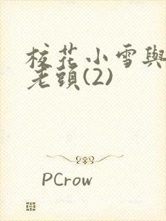 校花小雪与门卫老头(2)