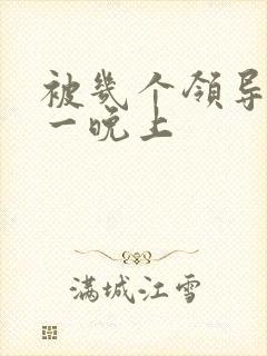 被几个领导玩弄一晚上