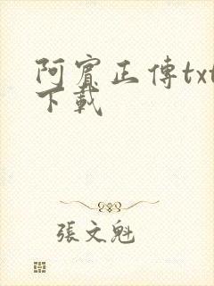 阿宾正传txt下载封面