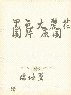 黑色大丽花真实图片 原图