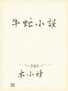 牛虻小说