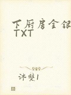 下厨房金银花露 TXT封面