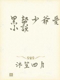黑帮少爷爱上我小说