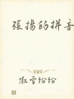 张扬的拼音封面