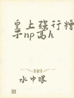 皇上强行糟蹋太子np高h封面