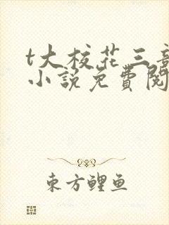 t大校花三部曲小说免费阅读全文