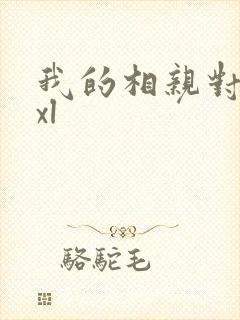 我的相亲对象是xl封面