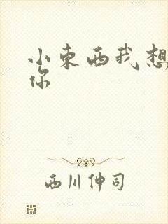 小东西我想弄坏你